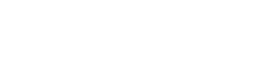 SYNOPEX